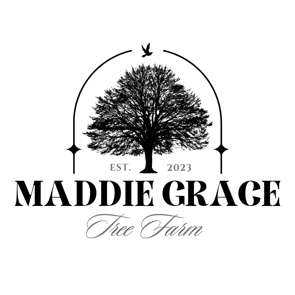 https://godssecondchance.org/wp-content/uploads/2026/05/Maddie-Grace-Tree-Farm-1.png
